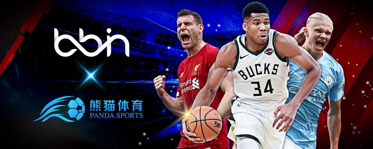 与专家的广